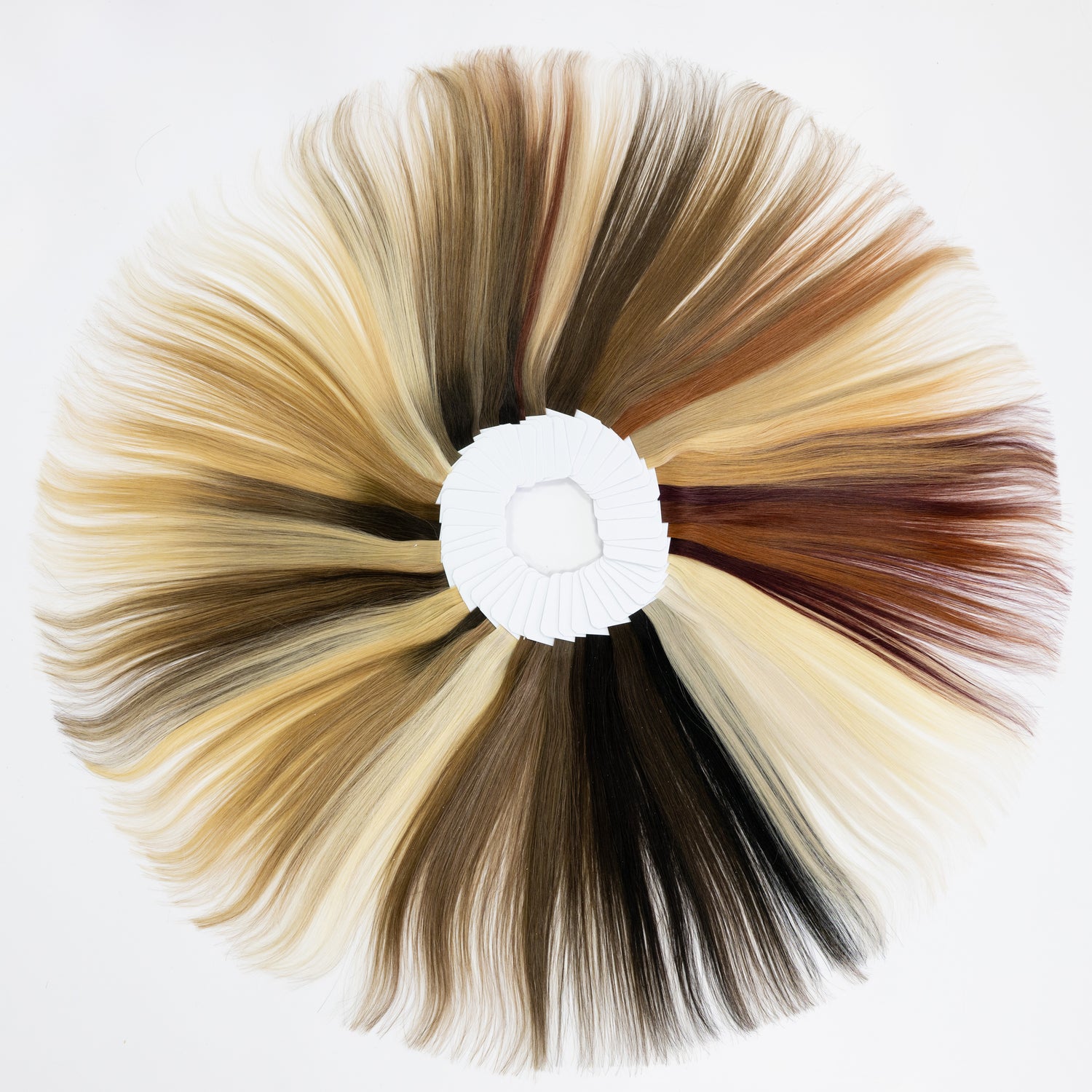 Wonderland Hair 